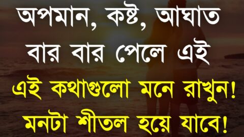 Heart Touching Motivational Quotes in Bangla | জীবনে বার কষ্ট পেলে কথাগুলো শুনুন| Life Solution Bani