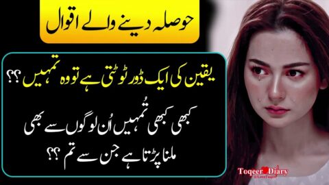 Yaqeen |Hazrat Ali r.a Urdu Quotes |Famous Love Quotes in Urdu | Toqeer Diary