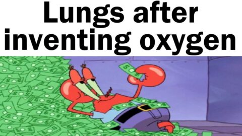 Daily Juicy Memes 907