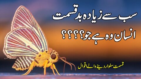 sb se badqismat insan wo he jo | Beautiful Urdu Quotes | Quotes Status In hindi