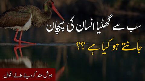 Ghatiya Insan ki Pehchan Kaise Kare?| New Heart Touching Quotes in Urdu about Life | Urdu Quotes
