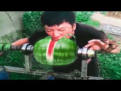 Memes I found on reddit #36