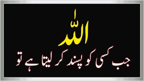 Best Islamic Quotes About ALLAH and His Mercy | ALLAH Quotes in Urdu || Best Islamic Quotes