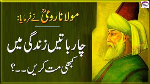 4 Baten Zindagi Me Kabhi Mat Karen | Best Collection Of Rumi Quotes | Hazrat Maulana Rumi Ne Farmaya