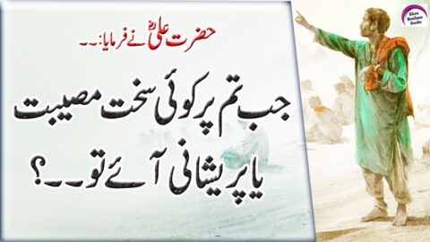 Best Collection Of Hazrat Ali Quotes About Life | Most Beautiful Quotations In Urdu | New Quotes