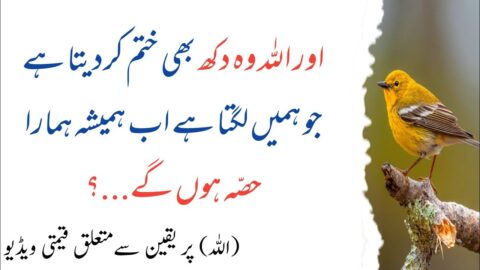 Aur Allah Wo Dukh B Khatam Kar Deta Hai | Life Changing Quotes | Quotes About Allah In Urdu Part 77