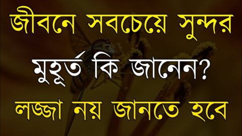 সবচেয়ে সুন্দর মুহূর্ত কি জানেন | Heart touching and Emotional quotes in Bangla | Sad Love Quotes