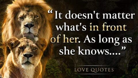 Wise Quotes About Revenge, Relationships and Love That Are Worth Remembering | Quotes, Aphorisms