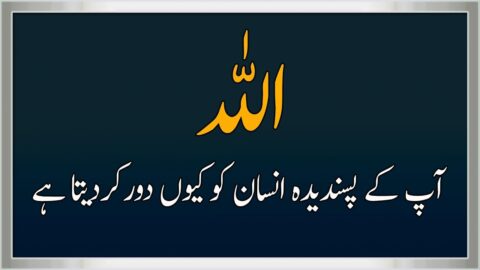 IMAM AL SHAFI Quotes || Best Collection of Urdu Quotes || Urdu Quotes