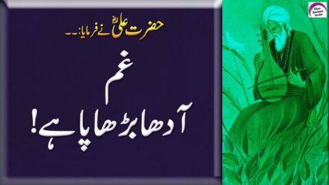 Best Collection Of Hazrat Ali Quotes | Hazrat Ali Qol | Hazrat ALi Ne Farmaya | Hazrat Ali Saying