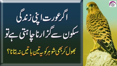 Best Collection Of Quotes About Husband & Wife – Heart Touching Quotes – Famus Quotes In Urdu