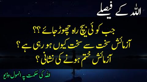 Allah kay Faislay aur Hikmat Quotes in Urdu | Best Collection of Islamic Quotes in Urdu | Urdu Aqwal