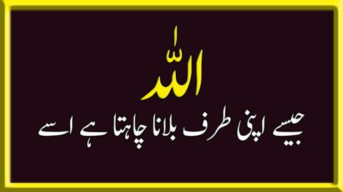 Best Motivational Quotes in Urdu | Best Life Urdu Quotes | Urdu Quotes about Life | Khubsurat Batein
