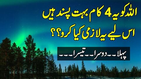 Quotes About Success In Urdu | Unique Quotes | Golden Words In Urdu | Zubair Maqsood Quotes