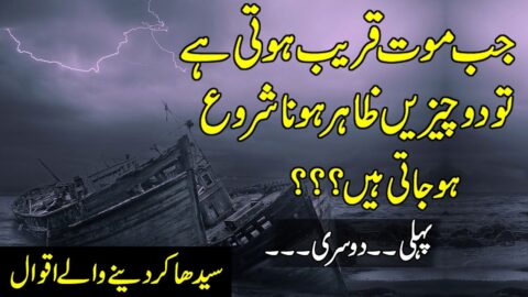 heart Touching Quotes in urdu | Jb Maut Qareeb Hoti He | Urdu Captions | Best Hindi Quotes Status