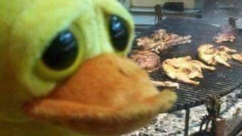 memes to enjoy while the world burns