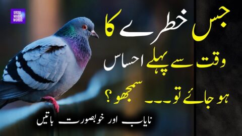 Jis Khatray Ka Waqt Se Pehlay Ehsas Ho Jaye | Beautiful Urdu Quotes|Quotes About Life In Hindi/Urdu