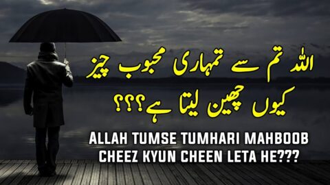 ALLAH Tumhari Mehboob Cheez Kyun Cheen Leta He | Motivational Quotes | Listen the Islam Q.K