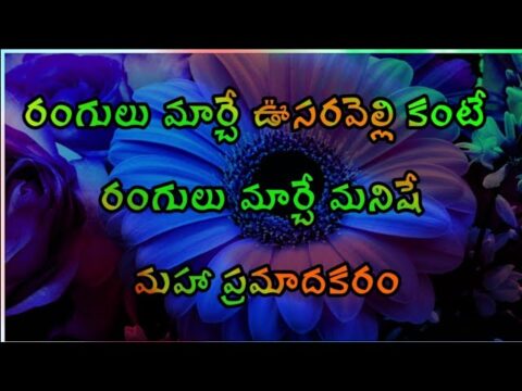 Manchi matalu Telugu quotes | Telugu sukthulu| life quotes in Telugu #withvani