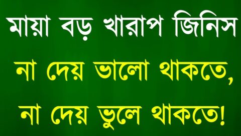 Best Motivational Quotes in Bangla | Heart Touching Quotes | Bani | Ukti | Inspirational Speech…