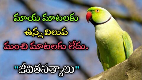 జీవిత సత్యాలు #130 |మంచి మాటలు|Inspirational quotes|Motivational quotes|సూక్తులు|Telugu quotes