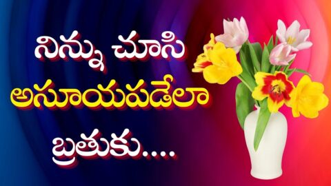 Jeevitha Satyalu | Famous Quotes in Telugu | Inspirational Motivational Video