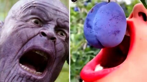 If you laugh, you win…