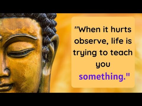 Top 30 buddha quotes on life that can teach you beautiful life lessons