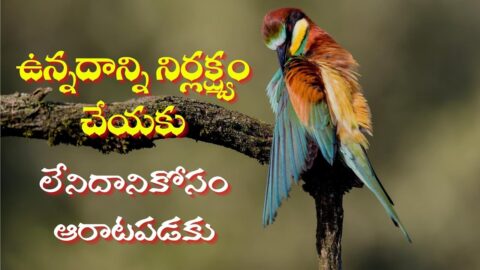 Famous Telugu Quotes | Jeevitha Satyalu #2 | motivational video | Inspiring video in telugu