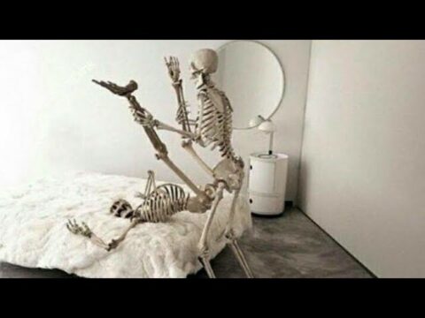 Memes that you can’t finish without laughing