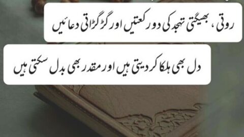 Roti Bheegti Tahajjud Ki Do Rakaaten Aur Girgirati Duain | Tahajjud Quotes | Golden Islamic Quotes