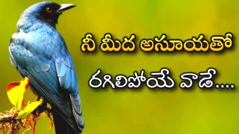 Famous Telugu Quotes | Jeevitha Satyalu #4 | motivational video | Inspiring video in telugu
