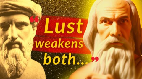 These Genius Pythagoras Quotes changed the world (The MOST Well-Spent 12 Minutes of Your DAY)