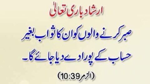 Best Collection Of Quranic Quotes In Urdu | Quranic Urdu Quotes About Life | Best Islamic Quotes