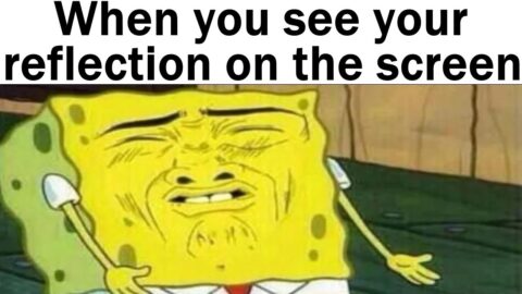 Daily Juicy Memes 1308