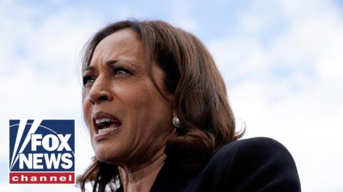 VP Harris raises eyebrows with omission in Declaration of Independence quote