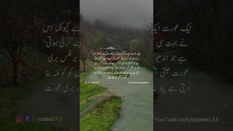 Naik Aurat – Words about Aurat – #womemquotes #urduquotes #rjadeel143 #urdupoetry Aurat Quotes