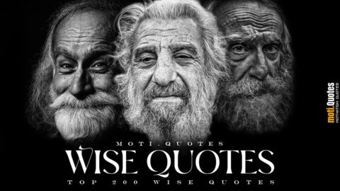I’ve Read 30,000 Quotes and Picked The Top 200 Of Them #motivation #motivationalquotes