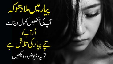 LOVE after Breakup urdu hindi How to find True Love Awesome Quotes on Love Inspirational Speech