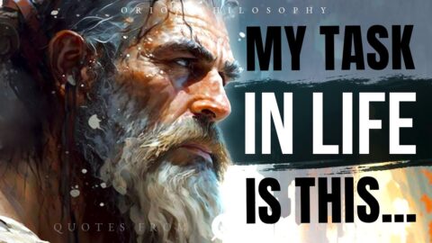 Stoic quotes to rewire your brain for fortitude