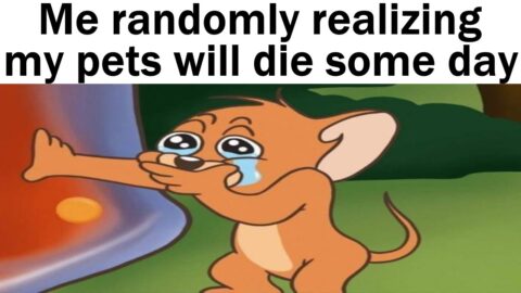 Daily Juicy Memes 1387