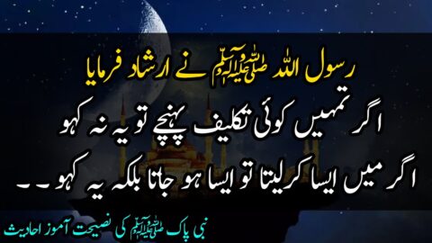 Hazrat Muhammad S.A.W ki Naseehatein | Hazrat Muhammad Hadees Quotes in Urdu | Amazing Urdu Quotes