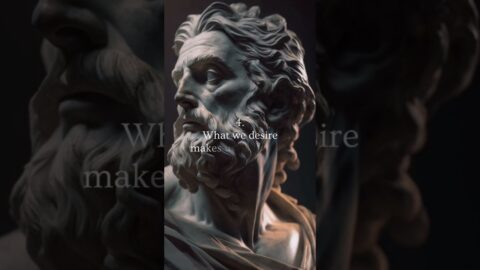 5 Stoic Quotes For Life #stoicism #dailystoic