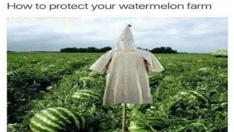 offensive memes that if ylyl v186