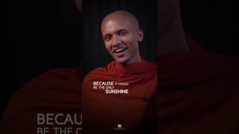 Daily reminder…🙏🧘♂️ | Buddhism In English #shorts #quotes #foryou #fyp