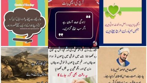 New Urdu Quotes / Islamic Quotes /Best Quotes about Life / Motivational Quotes / True Lines