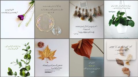 Islamic Quotes in Urdu #2023🌸 // New islamic Quotes🍁 @sadafthought