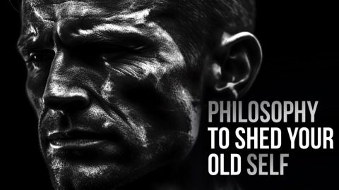 Stoicism: Motivational Quotes To Pull Yourself From Darkness (everyday stoic)