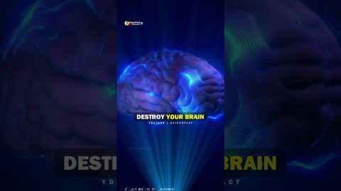 8 Habits That Destroy Your Brain 🔥🔥 | inspirational quotes | motivation #shorts #kaizorfact