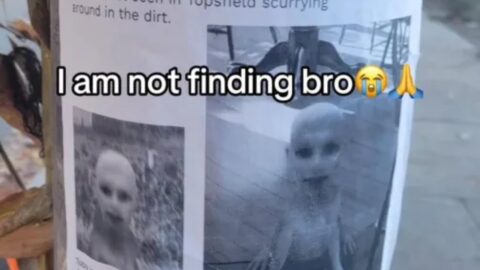 Random memes I permanently borrowed PT.798